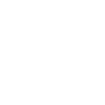 icons8-money-bag-96